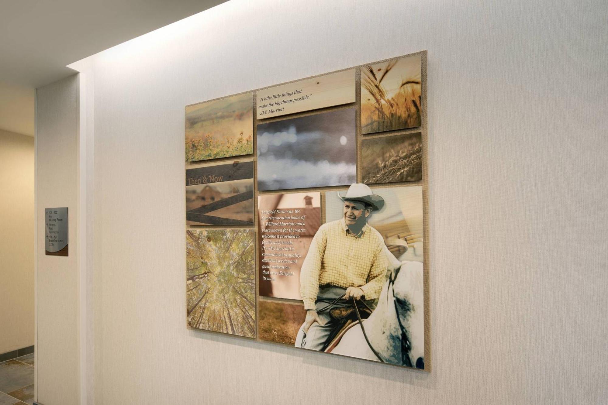 Fairfield Inn & Suites By Marriott Tampa Wesley Chapel Buitenkant foto